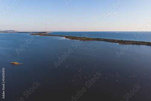 Beautiful aerial vibrant view of Korission Lake Lagoon landscape  Corfu island  Greece with pink flamingos flock  Ionian sea beach and mountains in a summer sunny day