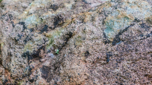 amazing rock texture as a background