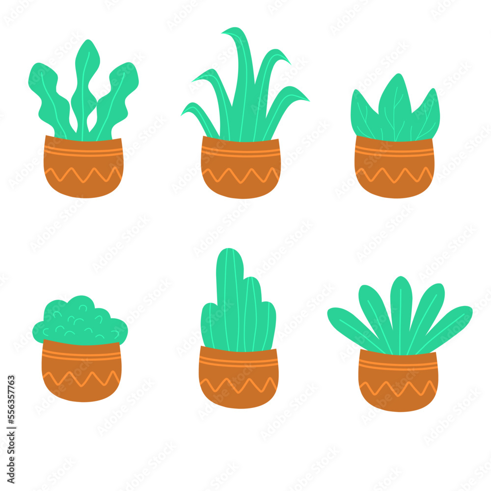 Fototapeta premium set of plants in pots