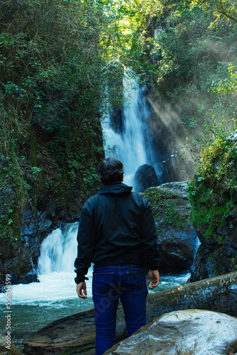 person in the forest