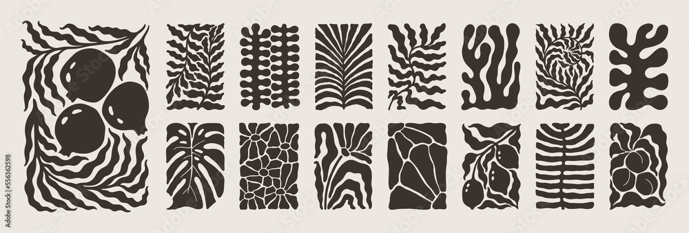 Abstract Matisse Floral Posters Set. Modern Botanical Background in Minimal Style. Trendy Groovy Vector Illustration