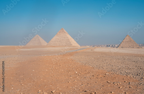 the pyramids