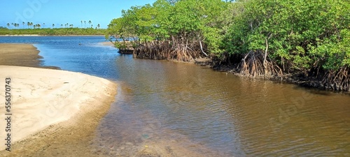 Natureza Barra do Jacuipe photo