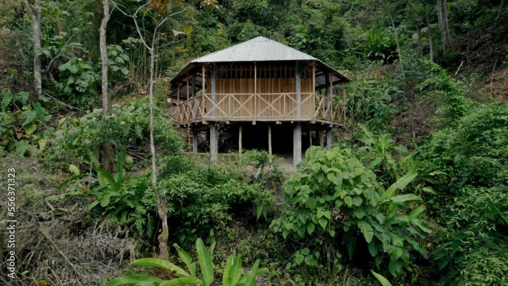 Isolated wooden house immersed in Amazonian forest vegetation, Peru. Aerial drone forward Isolated wooden house immersed in Amazonian forest vegetation, Peru. Aerial drone forward