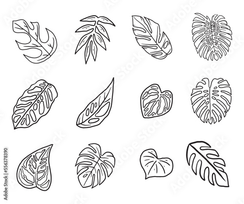 Tropical plant leaf doodle icon