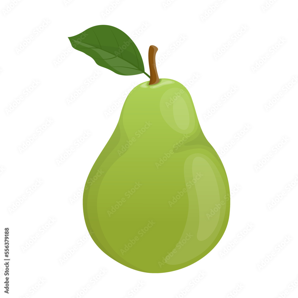 Green pear. Vector illustration of sweet ripe. Whole juice garden fruit with leaf isolated white. Vegetarian food dessert concept Green pear. Vector illustration of sweet ripe. Whole juice garden fruit with leaf isolated white. Vegetarian food dessert concept