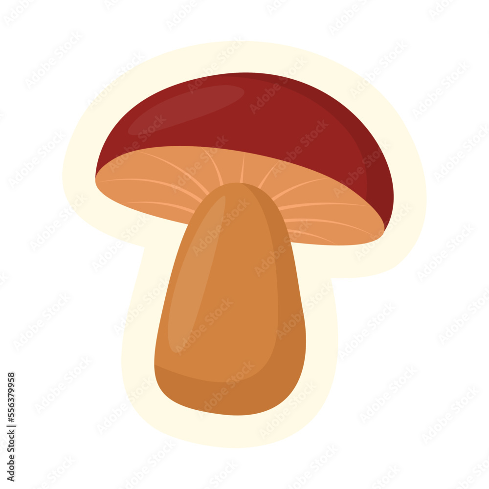 Cute mushroom on a thick leg isolated on white background. Autumn flat vector illustration. Autumn or fall concept Cute mushroom on a thick leg isolated on white background. Autumn flat vector illustration. Autumn or fall concept
