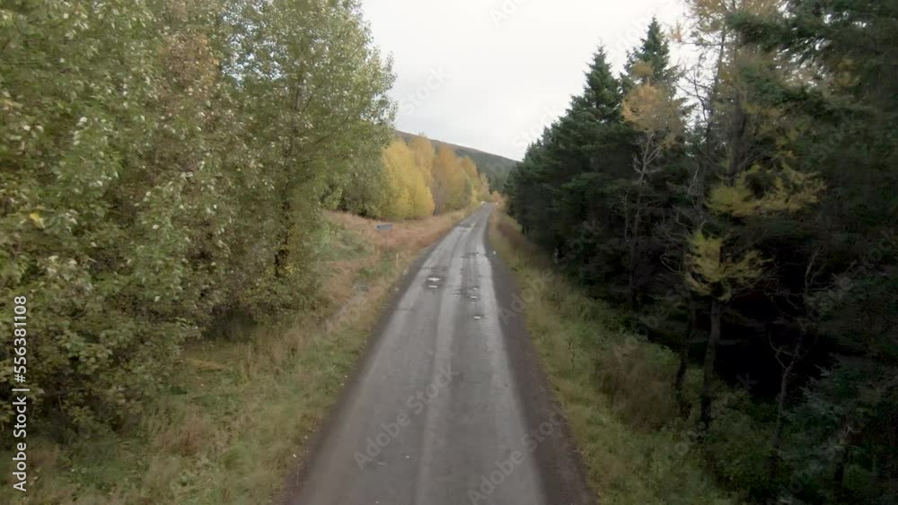 Uneven road in countryside and hidden abandoned cabin. Dolly shot Uneven road in countryside and hidden abandoned cabin. Dolly shot