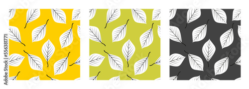 Leaves seamless pattern. Vector background. Set of multicolored patterns isolated on a white background.