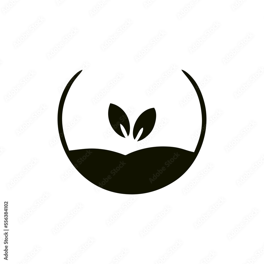 Seed Plant Seed Plant