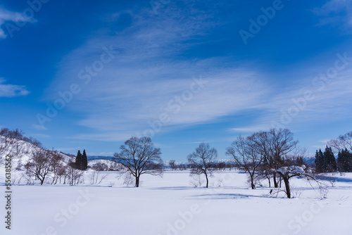 冬の越後三山遠望　雪原の風景　北信州　なべくら高原 © Kazuo Katahira