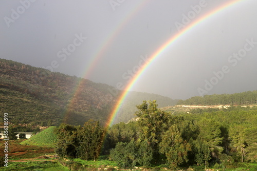 Fototapeta Naklejka Na Ścianę i Meble -  Rainbow in the sky over the forest.