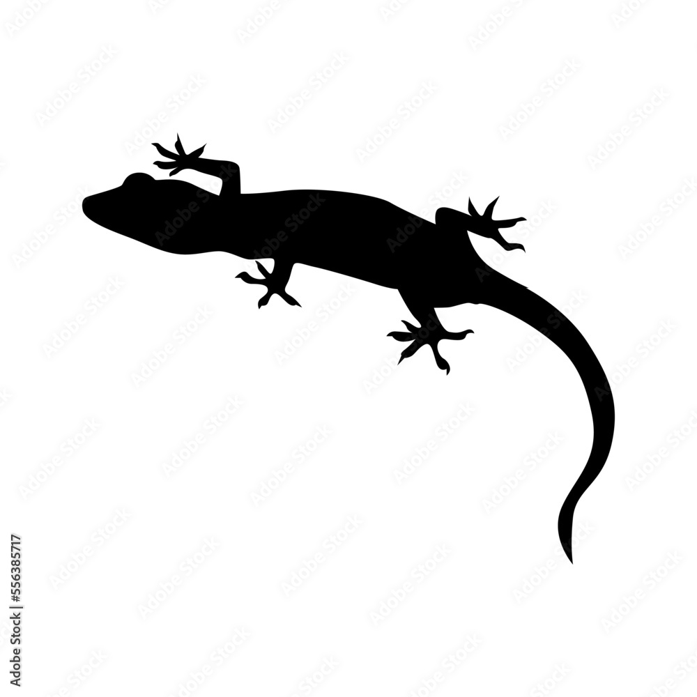 Naklejka premium Silhouette of lizard