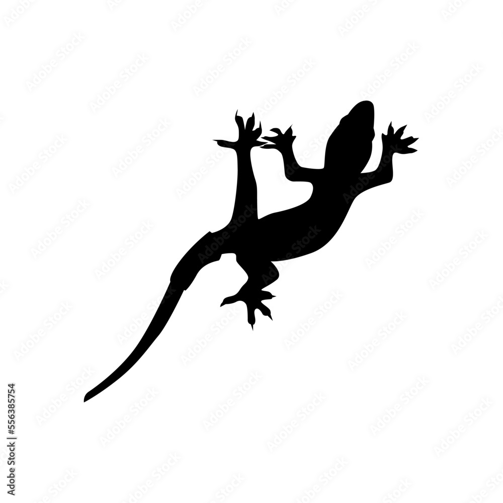Fototapeta premium Silhouette of lizard