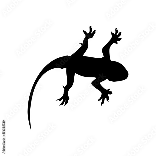 Silhouette of lizard © Lightwizard