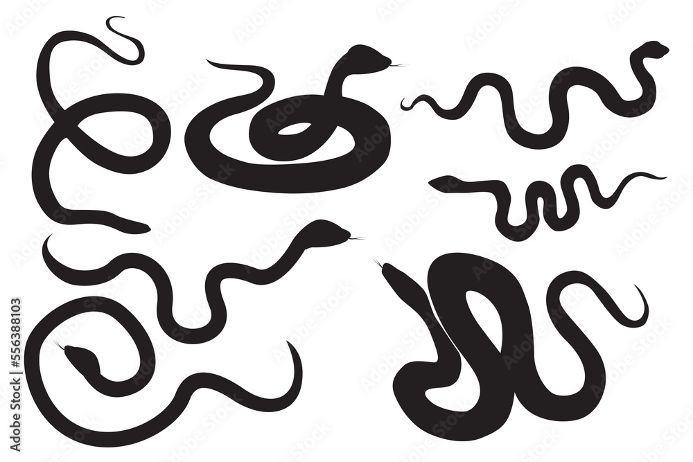 Snake vector set. Venomous reptile. Dangerous and poisonous snake ...