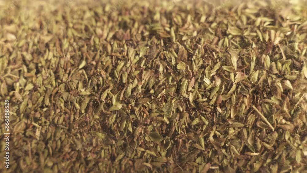 Vertical Shot Of Green Organic Oregano Herbs On Turntable Platform Vertical Shot Of Green Organic Oregano Herbs On Turntable Platform