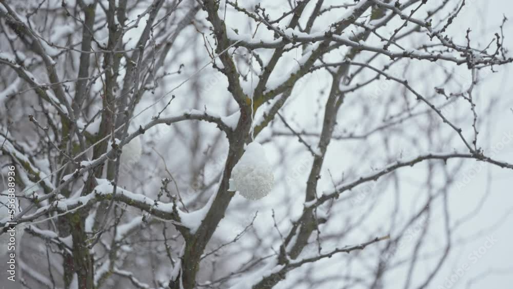 Shot of a tree covered in ice with snow actively falling. Shot of a tree covered in ice with snow actively falling.