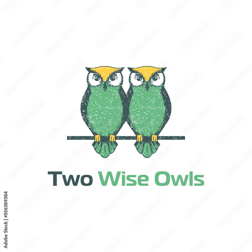 Naklejka premium Two owl logo with colorful style logo designs