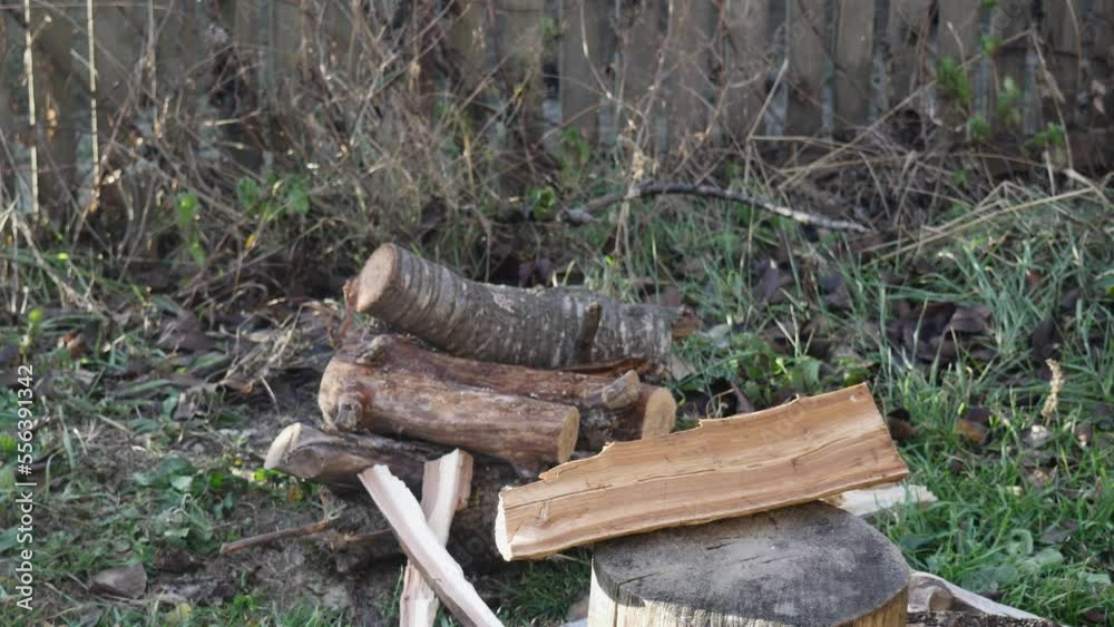 a hand sticks an ax into a stump against the background of an old fence a hand sticks an ax into a stump against the background of an old fence
