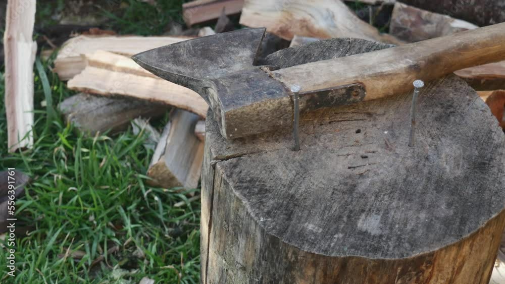 a hand with an old nail puller pulls a nail out of a stump, close-up a hand with an old nail puller pulls a nail out of a stump, close-up