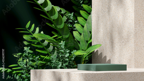 3D rendering mockup space green rectangle podium in landscape terrazzo texture wall and zamia plants
 photo