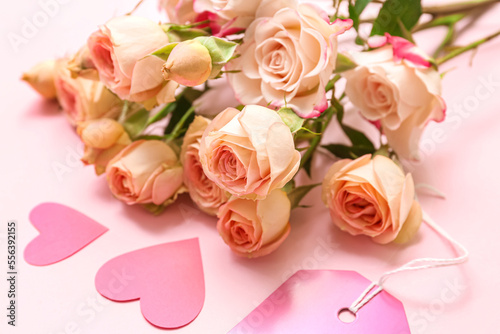 Bouquet of beautiful rose flowers on pink background  closeup