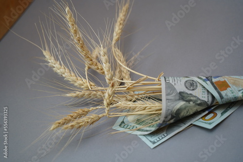 Almaty, Kazakhstan - 10.04.2022 : Stalks of harvested wheat and several dollar bills. photo