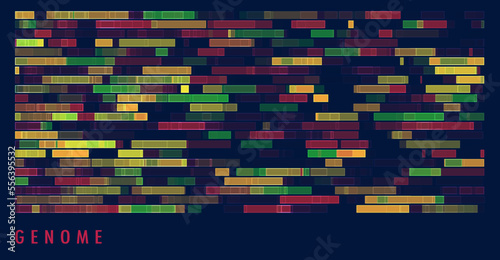 DNA genomic test, genome map.