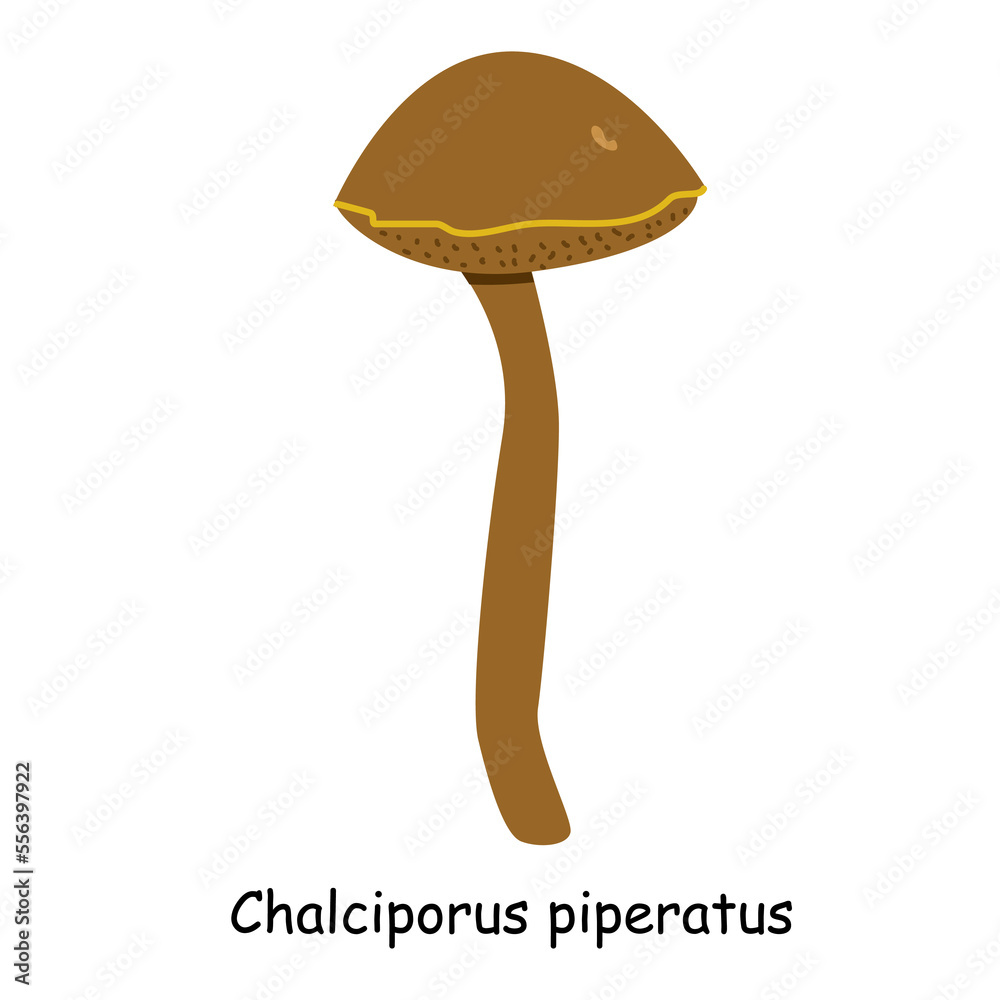A flat vector of a poisonous mushroom isolated on a white background.