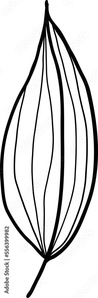 Anemone flower. Linear poppy flower. Hand drawn illustration. This art is perfect for invitation cards, spring and summer decor, greeting cards, posters, scrapbooking, print, etc. Anemone flower. Linear poppy flower. Hand drawn illustration. This art is perfect for invitation cards, spring and summer decor, greeting cards, posters, scrapbooking, print, etc.