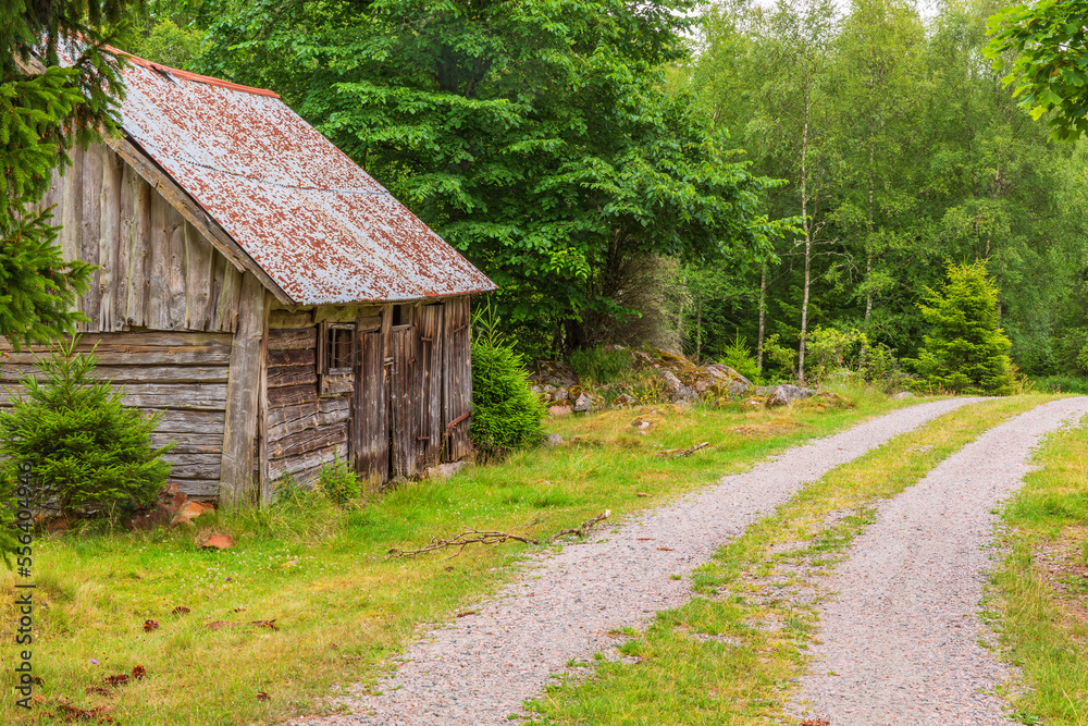 Old abandoned shack at a forest road Old abandoned shack at a forest road