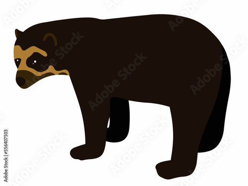 spectacled bear vector illustration
