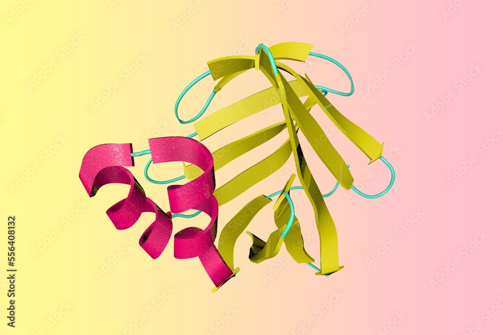 Protein Ribbon Model Crystal structure of human brain fatty acid binding protein oleic acid ...
