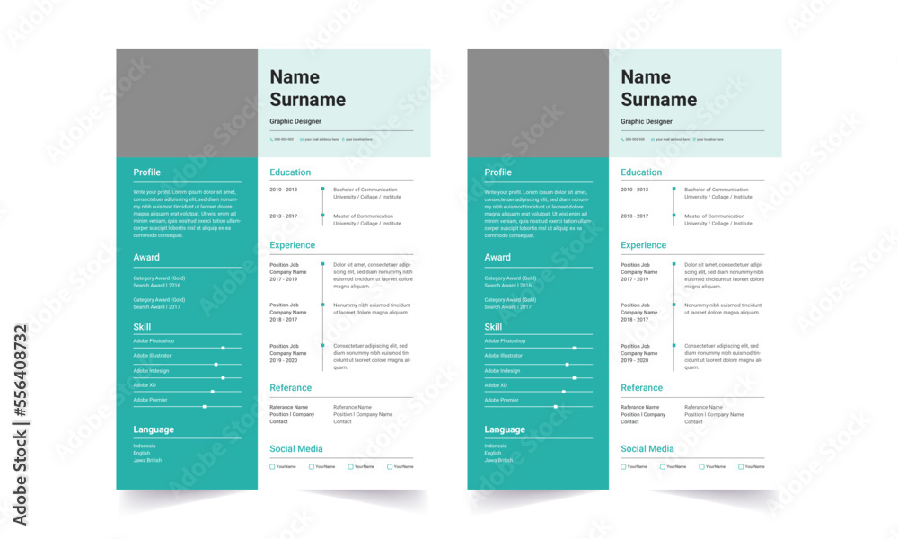 Professional Resume CV Template Layout.  Beautiful CV / Resume template - elegant stylish design 