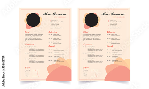 Professional Resume CV Template Layout.  Beautiful CV / Resume template - elegant stylish design 