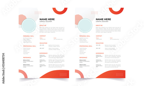Professional Resume CV Template Layout.  Beautiful CV / Resume template - elegant stylish design 