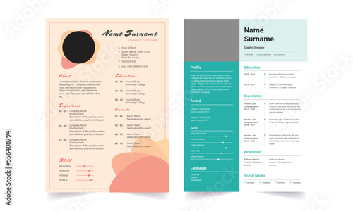 Professional Resume CV Template Layout.  Beautiful CV / Resume template - elegant stylish design 