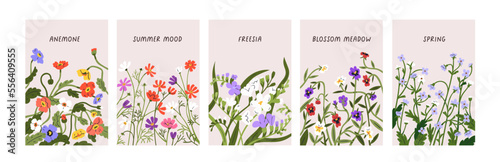 Fotobehang Floral cards with spring meadow flowers, field blossomed plants