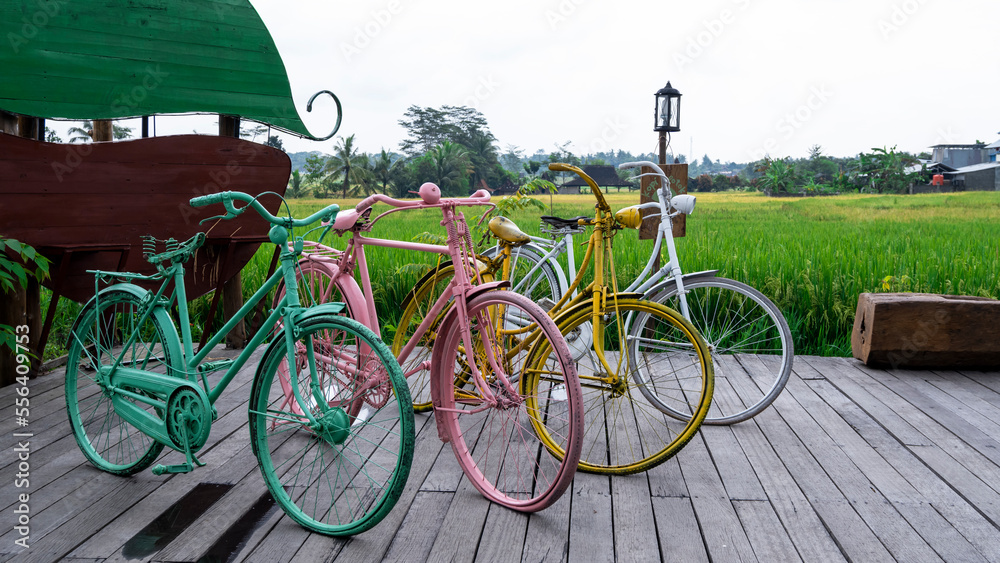 Colorful vintage old bicycle with a beautiful green rice field background