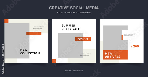 Editable minimal social media, web Banner Post Template. Suitable for social media posts and web internet ads. Vector illustration