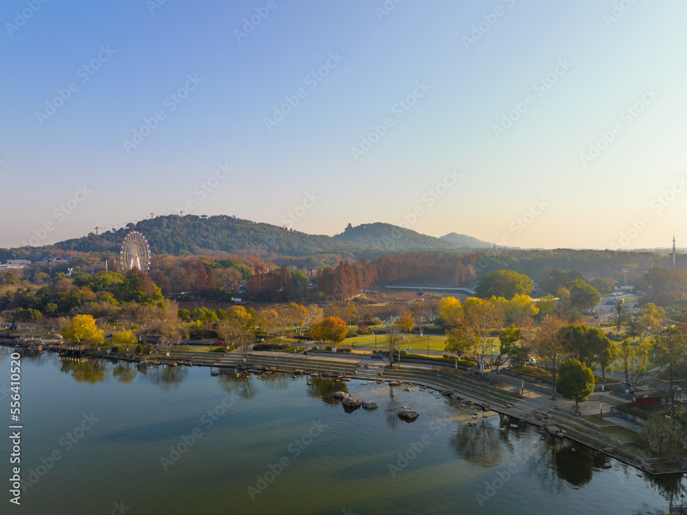 Autumn scenery of Wuhan East Lake Wetland Park Scenic Area Autumn scenery of Wuhan East Lake Wetland Park Scenic Area