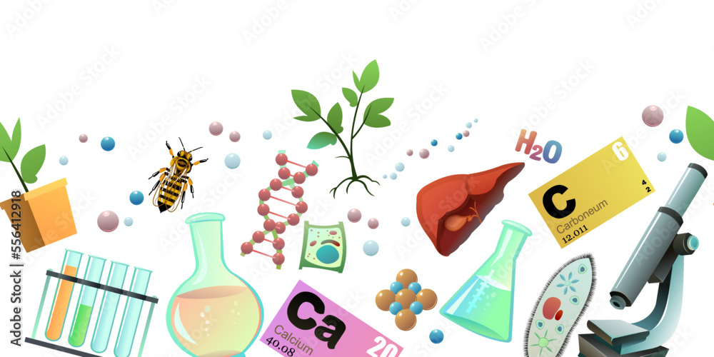Chemistry. Seamless bottom border. Cartoon style. Science items picture