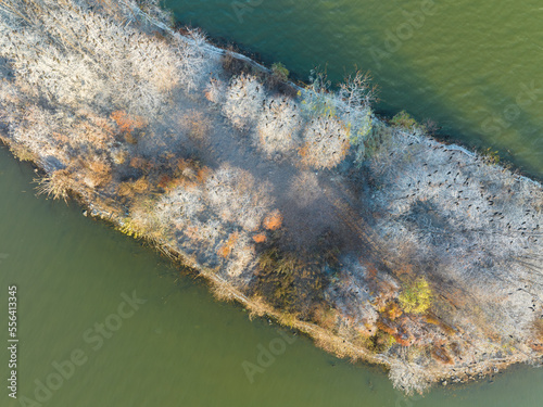 Autumn scenery in Luoyan Island Scenic Area, East Lake, Wuhan photo