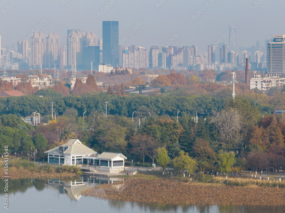 Fototapeta premium Wuhan Yuehu Park late autumn scenery in Hubei, China
