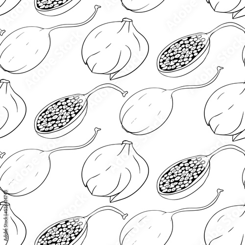 Capers seamless pattern. Vegetarian delicious. Eco organic food.