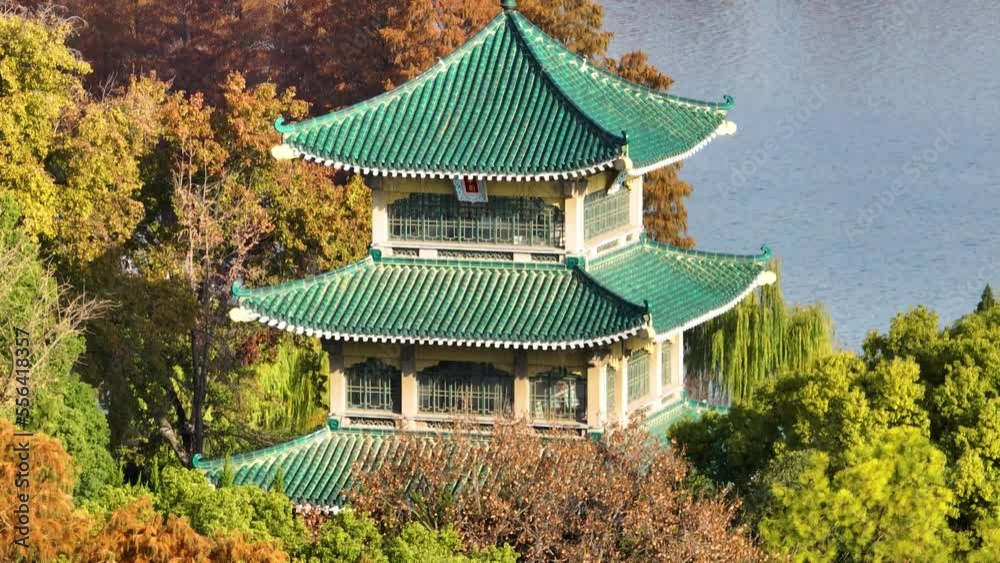 Autumn scenery of Wuhan East Lake Wetland Park Scenic Area Autumn scenery of Wuhan East Lake Wetland Park Scenic Area