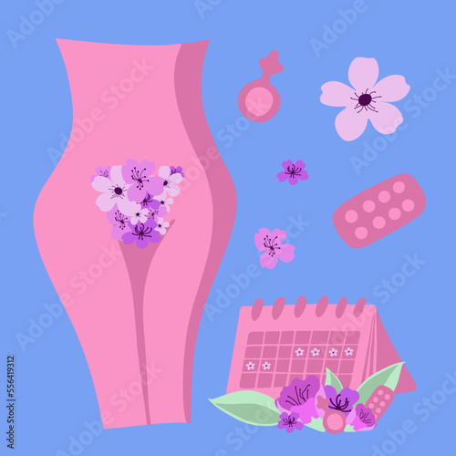 Vector isolated illustration of menstrual set. Menstrual cycle.