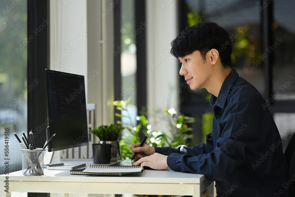 Handsome man software developers working for developing website design and coding technologies at office Handsome man software developers working for developing website design and coding technologies at office