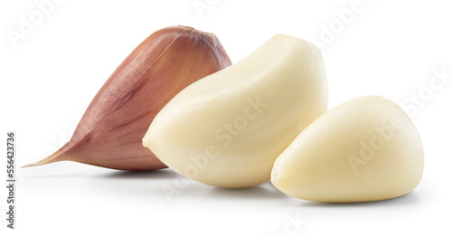 Garlic clove isolated. Garlic cloves on white background. Peeled and unnpeeled garlic cloves with clipping path. Full depth of field.